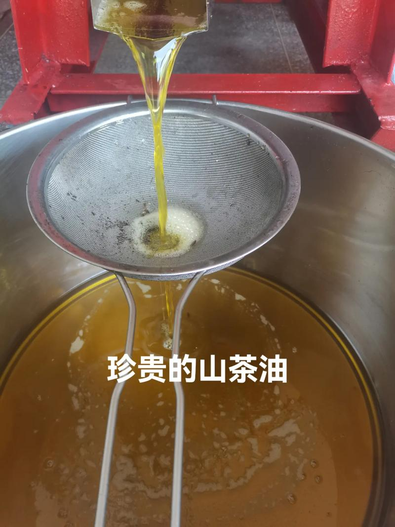 茶籽油.png